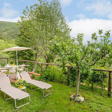 Sassi Scritti - Abete Bianco Appartement