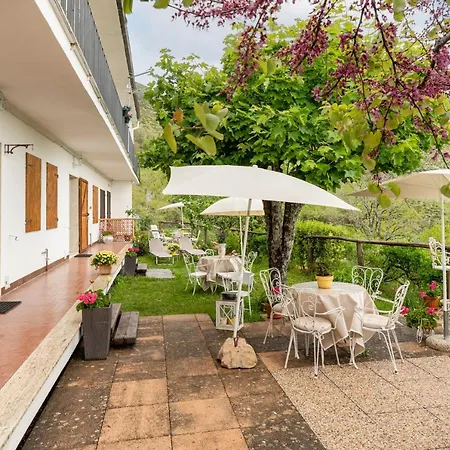 Sassi Scritti - Abete Bianco Appartement